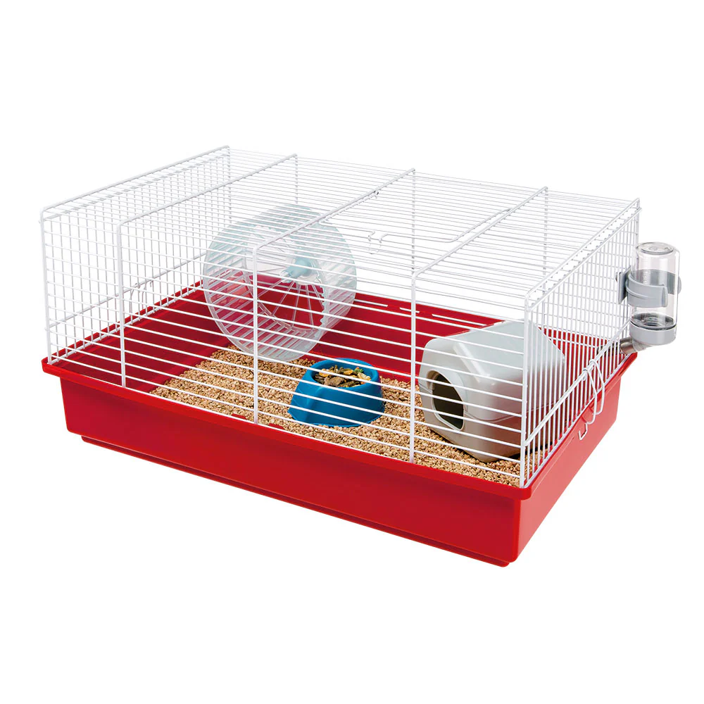 Miniatura 1