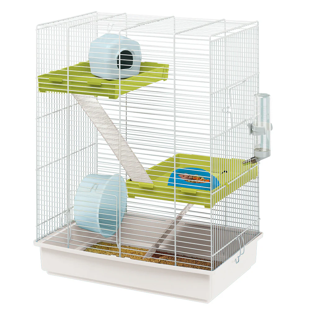 Miniatura 1