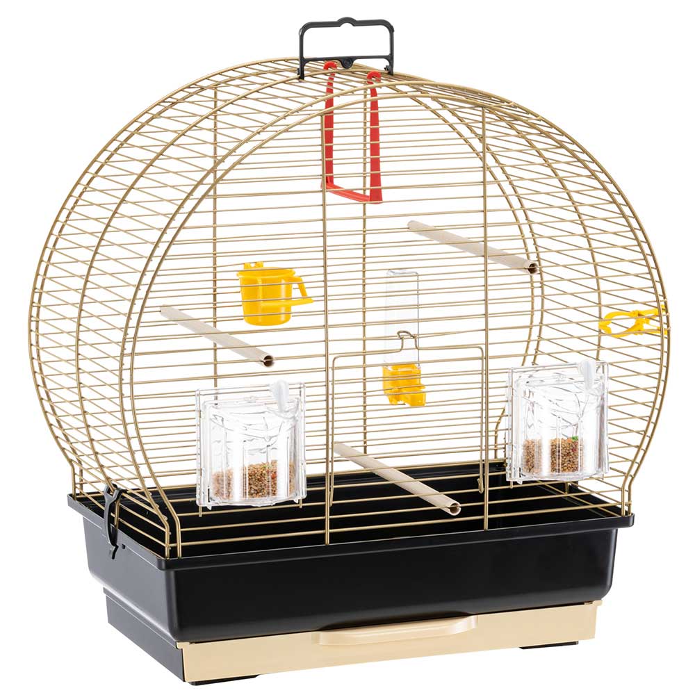 Miniatura 1