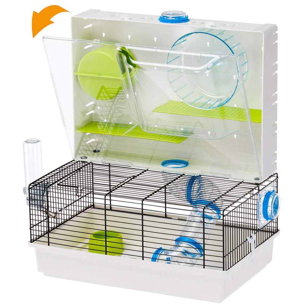 Miniatura 2
